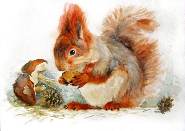 Чарушина белка и бельчата