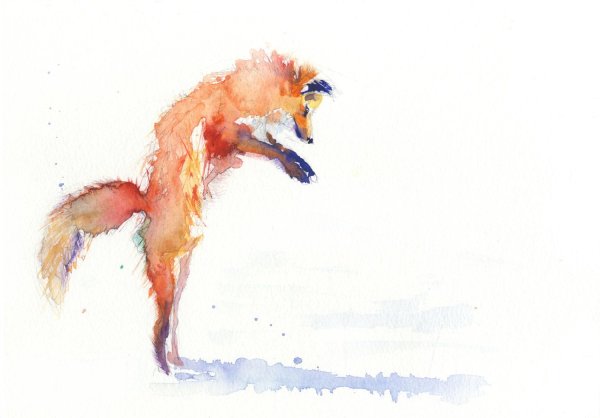 Лиса в прыжке