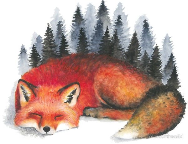 Лисичка акварель для детей