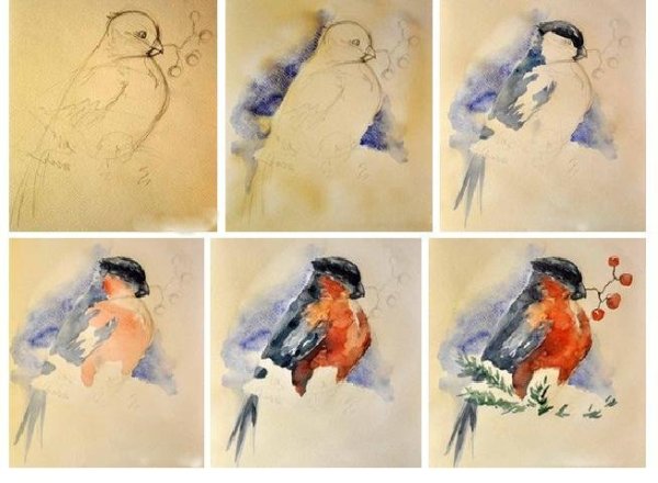 Снегирь гуашью