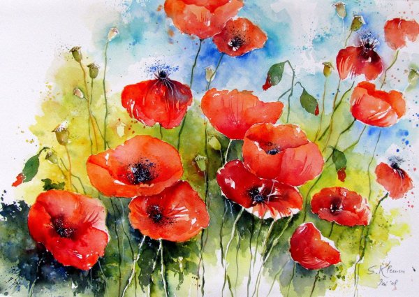 Мак акварель Базанова