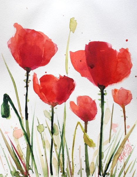 Маки акварелью