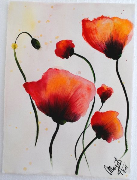 Мак акварелью для начинающих