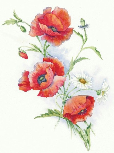 Венди Тейт цветы акварель