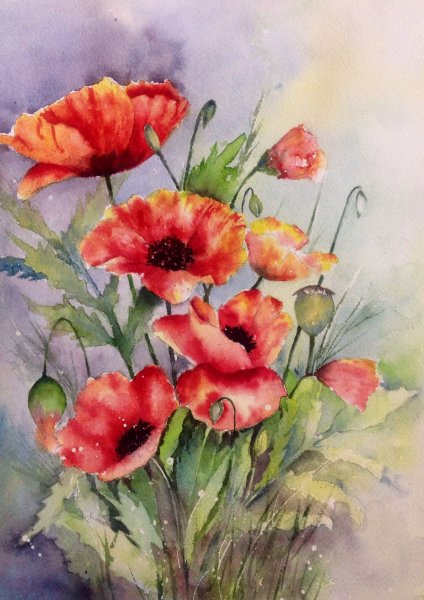 Мак акварель