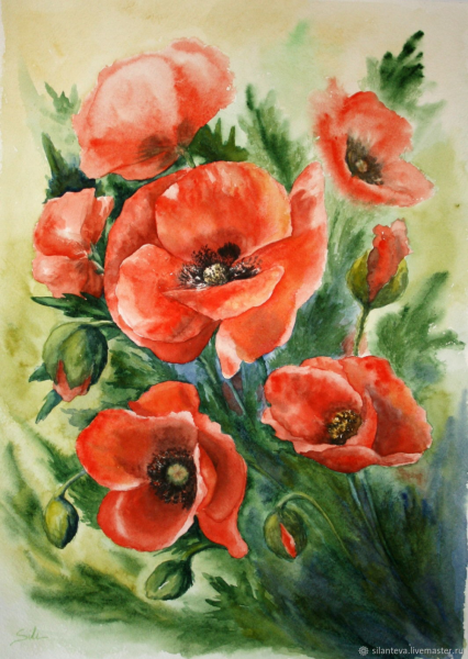 Маки акварелью
