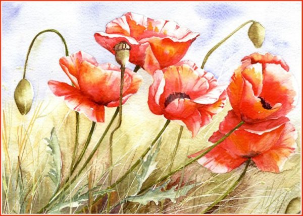 Художник Yvonne Harry