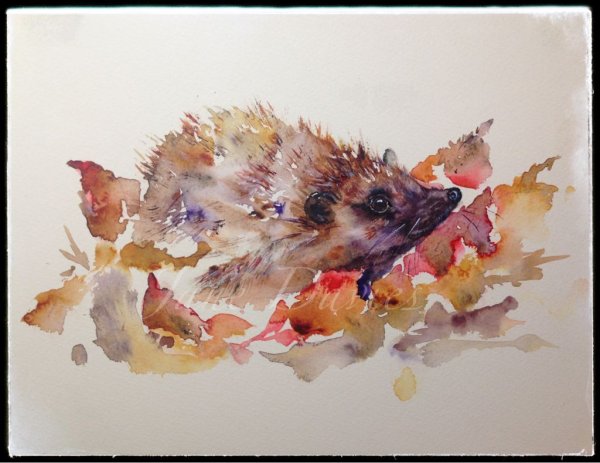 Дэвид Уэбб животные акварелью