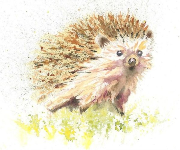 Ежи акварели