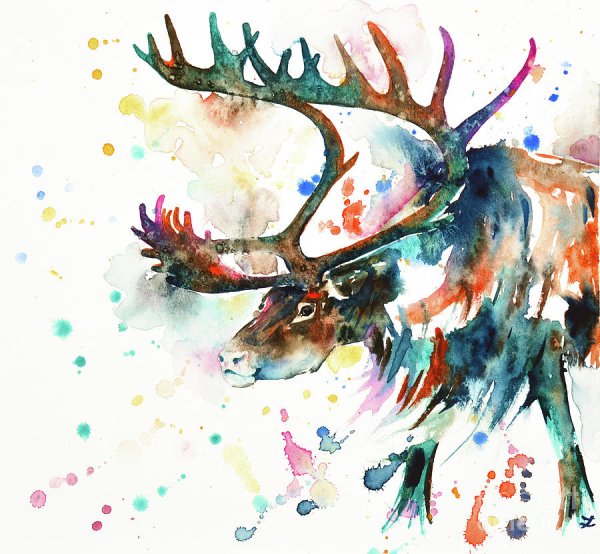 Северный олень арт