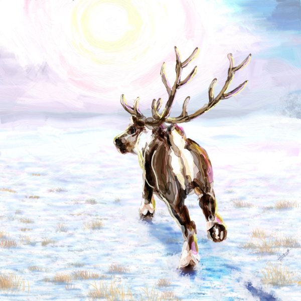 Северный олень живопись