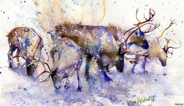 Северный олень живопись