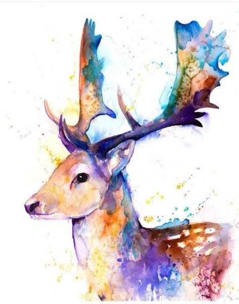 Олень акварелью