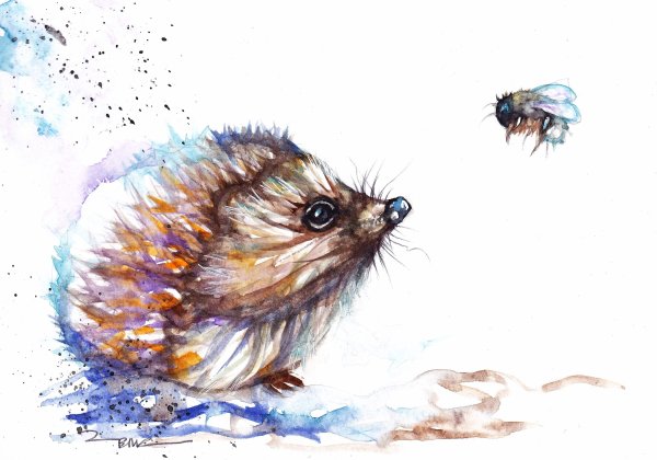 Ежик акварель