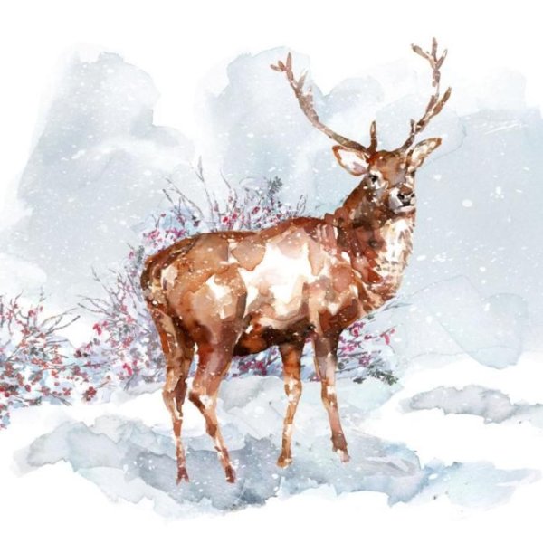 Северный олень гуашь