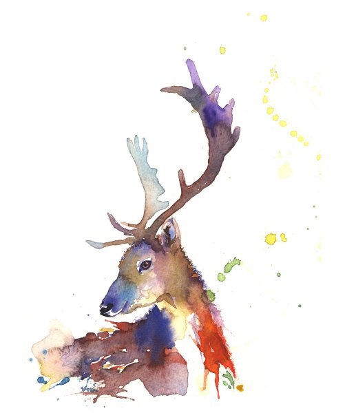 Северный олень акварель