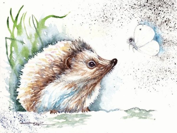 Лесные звери акварель