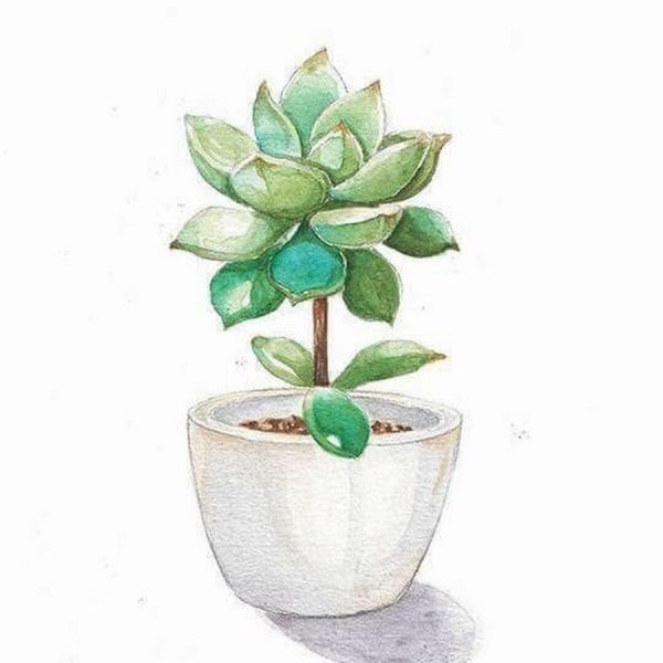 Цветок в горшке акварелью