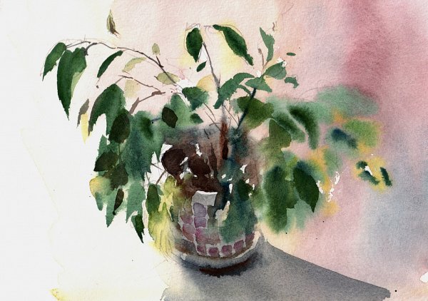 Владимир Тупоршин акварели натюрморты