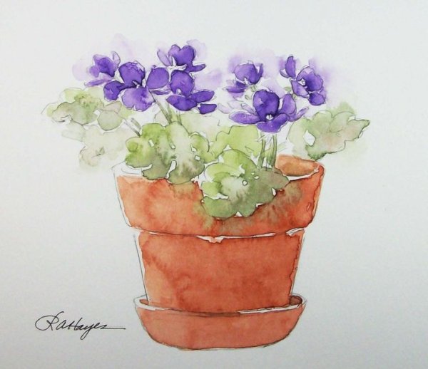 Этюд комнатных растений акварелью