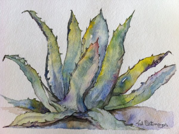 Алоэ Вера арт