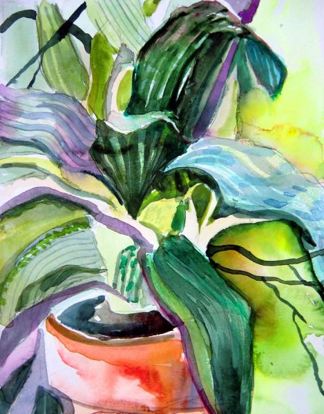 Комнатные растения акварелью
