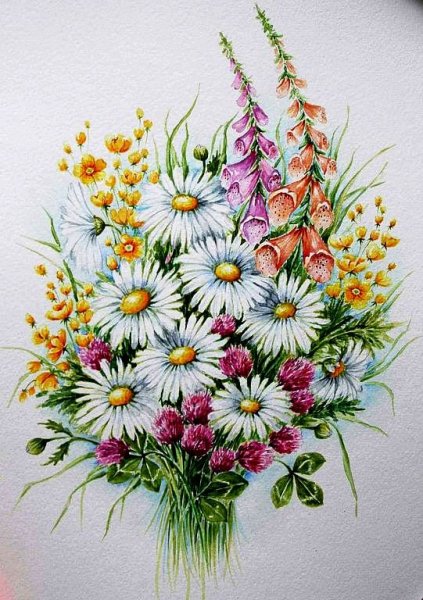 Акварель ромашки