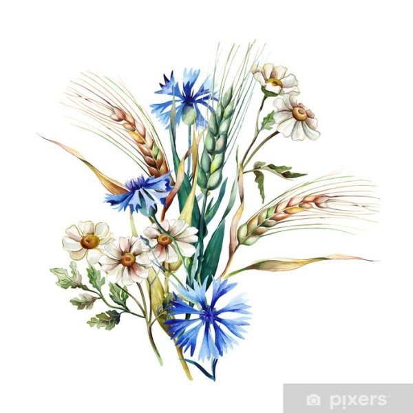 Акварель полевые цветы в корзине