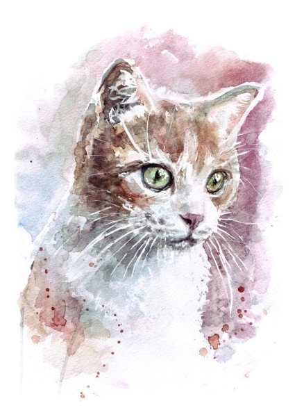 Котенок акварель