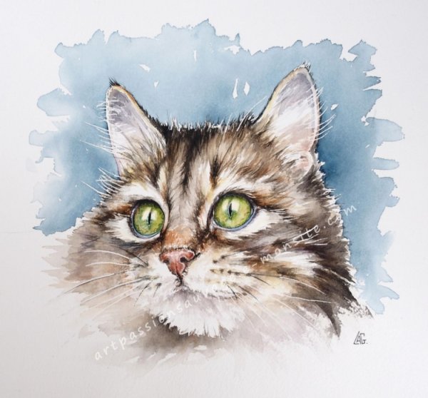 Акварель морда кота