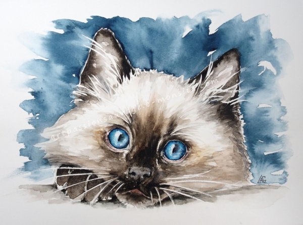 Рисунок кота акварелью