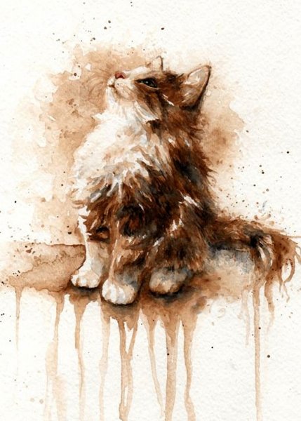 Braden Duncan художник