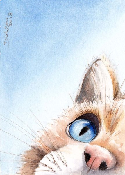 Милый кот акварель