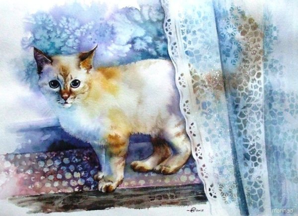 Кошечка акварель
