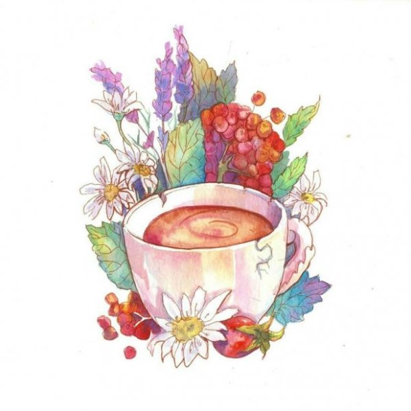 Чай акварель