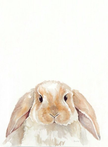 Кролик акварель