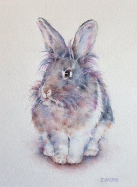 Белый заяц акварель