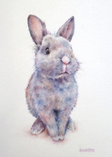 Заяц акварель