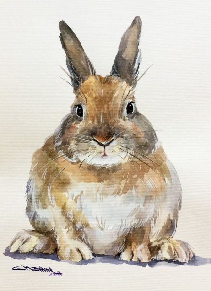 Кролик акварель