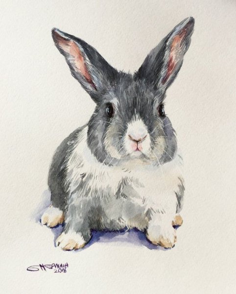 Рисуем кролика акварелью