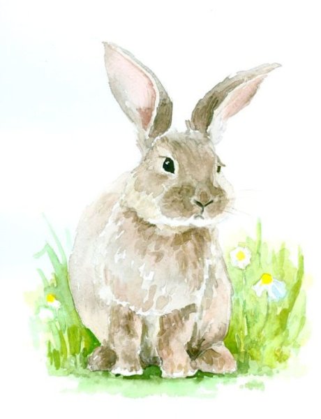 Кролик акварель