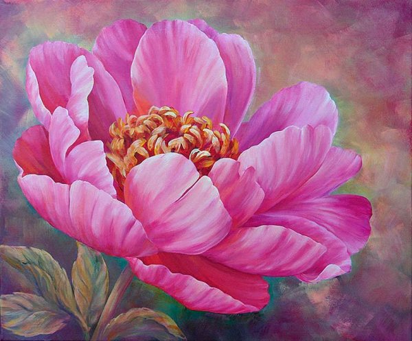 Пионы Marianne Broome