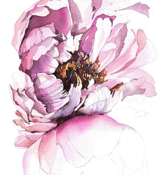 Катерина Савченко акварель