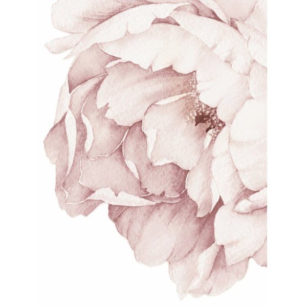 Акварельные пионы