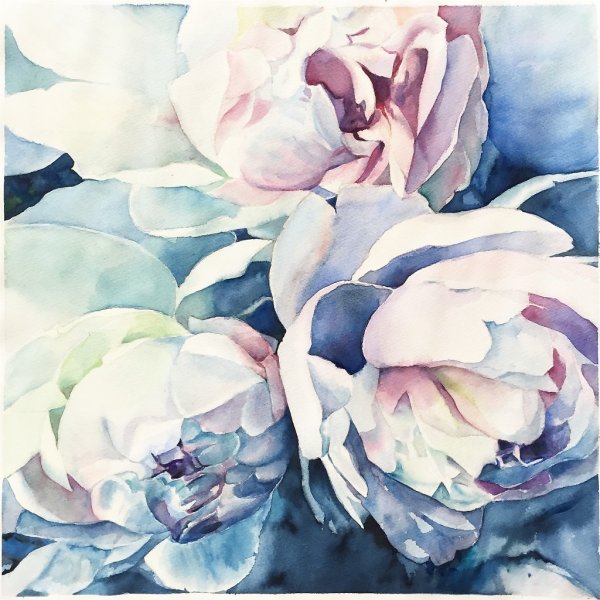 Белые пионы акварель