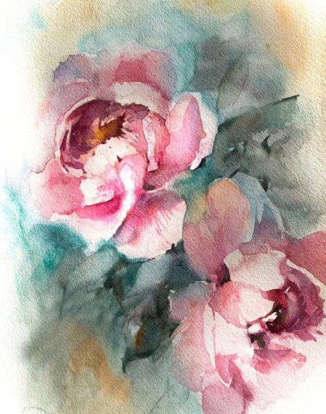 Акварели пионы лессировка