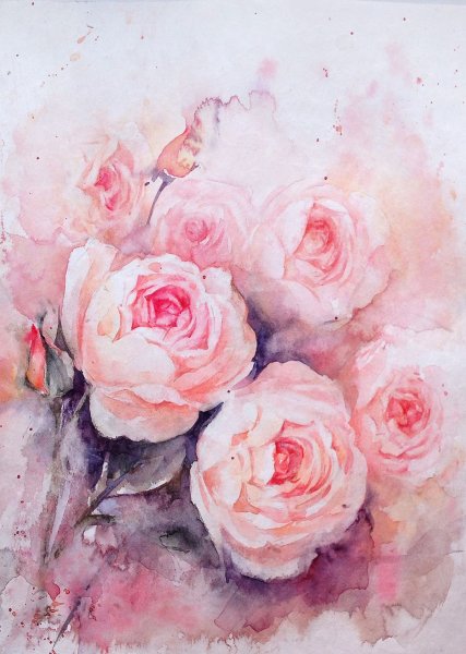 Роза акварель Rose Aquarelle