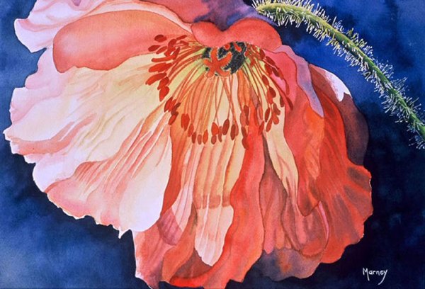 Акварели Марни Вард Marney Ward