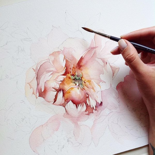 Наброски акварелью цветы