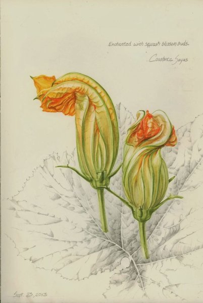 Современная Ботаническая иллюстрация